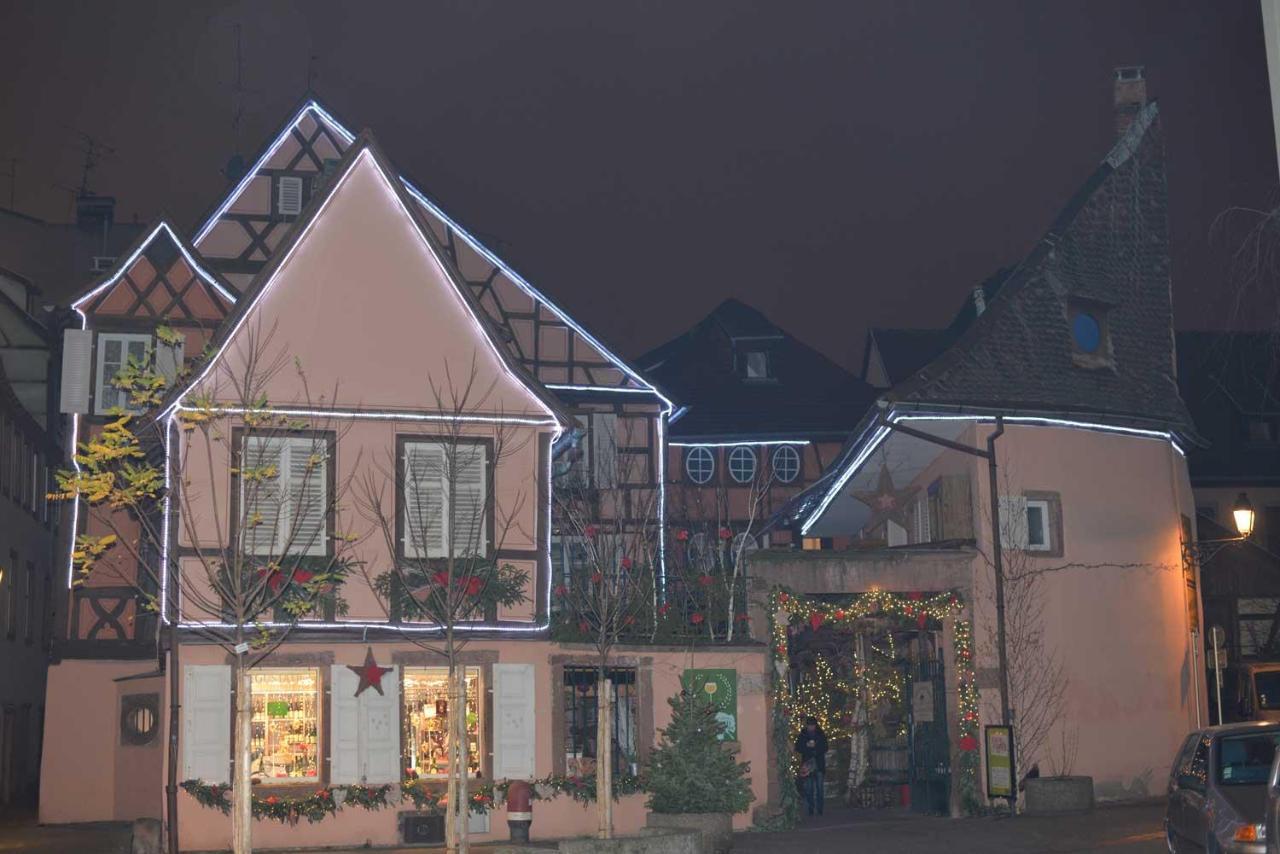Chez Myriam Bed And Breakfast Studio Parme Colmar Exterior foto